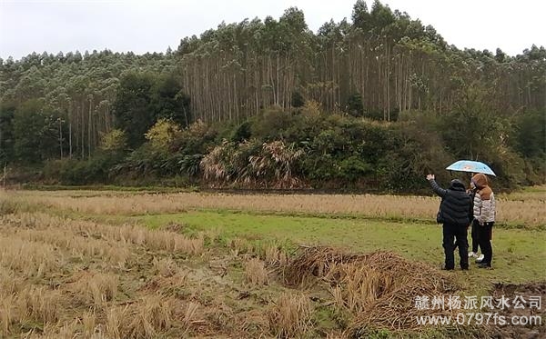 丽水市陈老师带着爱徒寻龙点穴